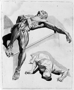 2_male_figures,_showing_muscles._Wellcome_M0007279